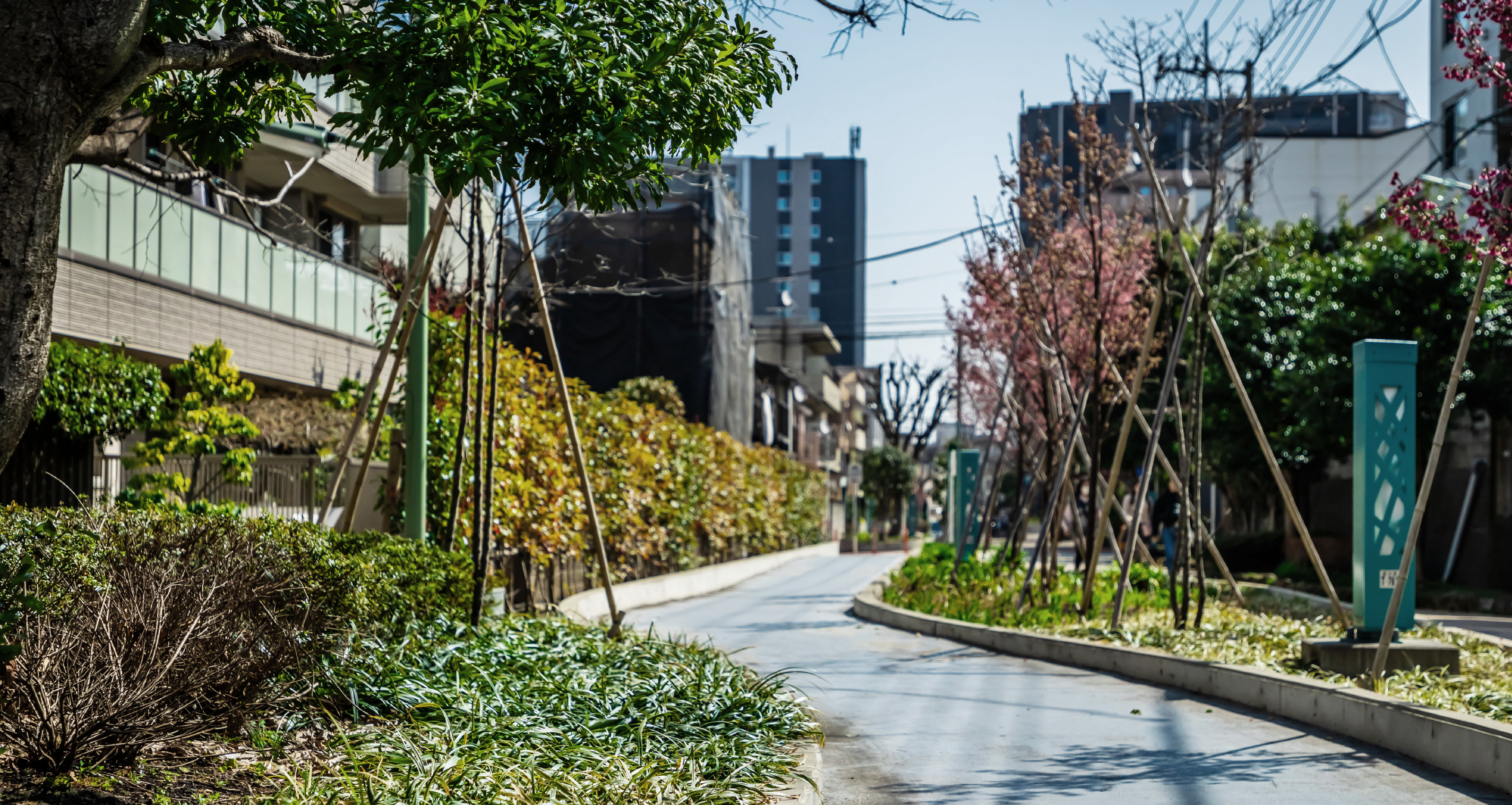 立会川緑道（約30m／徒歩1分）