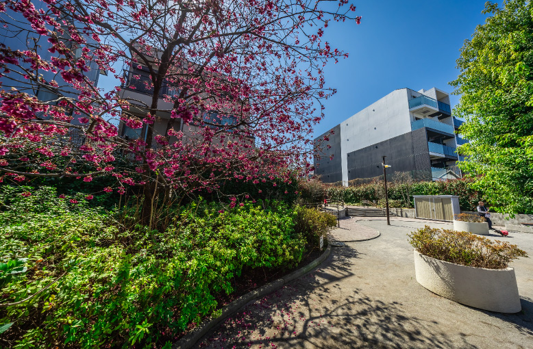 中延みちしるべ防災広場（約290m／徒歩4分）